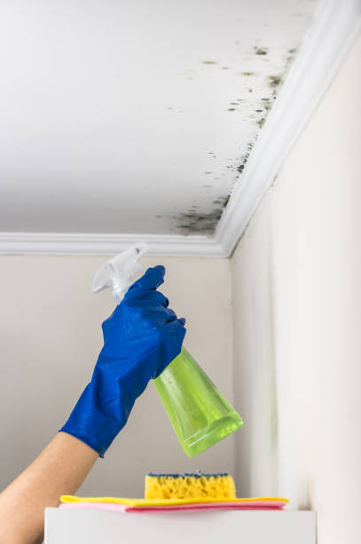 Asbestos and Lead Testing During Mold Inspection